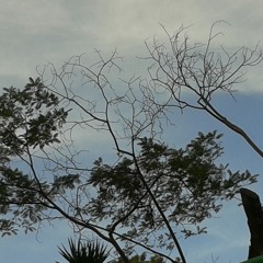 Blues