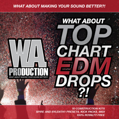 W. A. Production - What About Top Chart EDM Drops Preview
