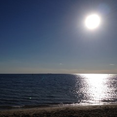 The Moon Represents My Heart