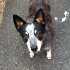 Initial Adventure at MDI