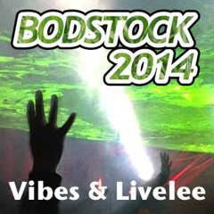 Vibes & Live Lee - Bodstock 2014