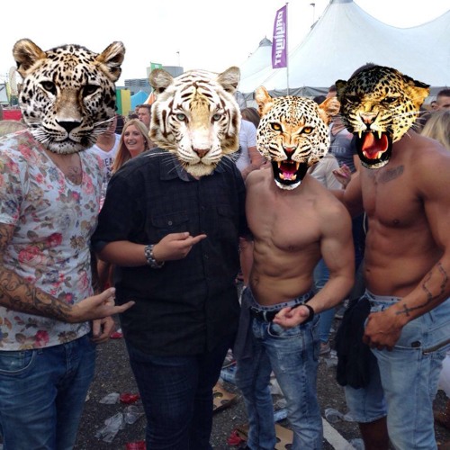 Raw Hardstyle