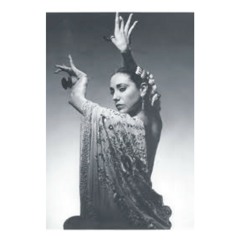 Flamenco - Charbel Rouhana