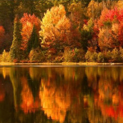 Autumn Fall