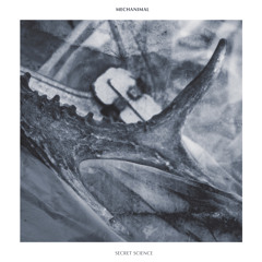 Down In The Basement