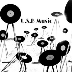 U.S.B@House of Vinyl