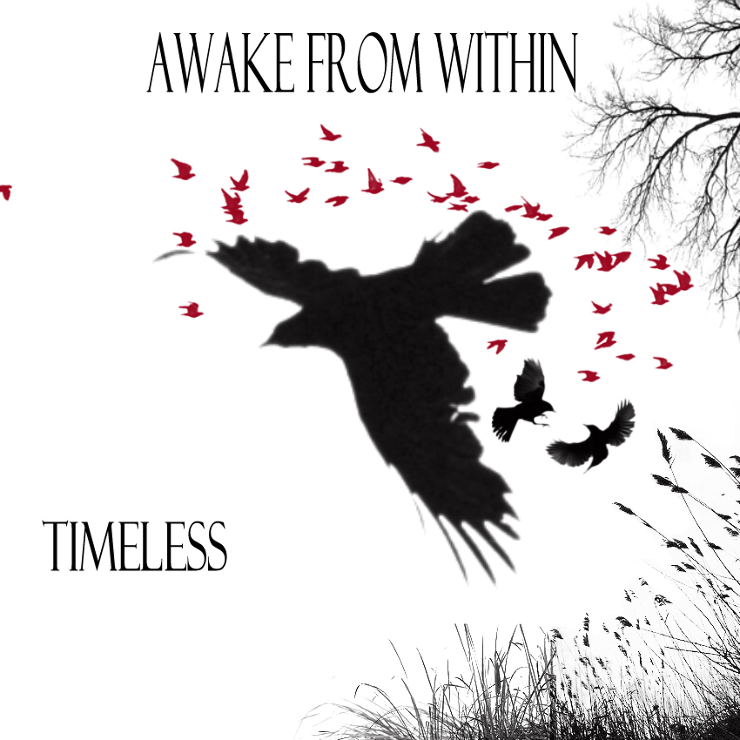 Timeless episode artwork