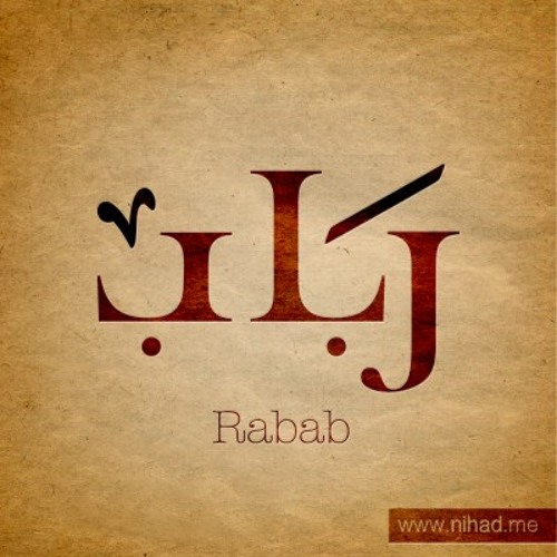 Pashto-Afghani RABAB Melody - Basharat Alee