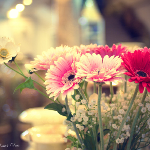 إِنَّ الَّذِينَ سَبَقَتْ لَهُم مِّنَّا الْحُسْنَىٰ أُولَٰئِكَ عَنْهَا مُبْعَدُونَ