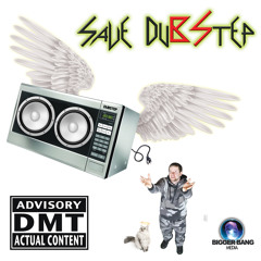 The Real DMT - Save Dubstep (Timefist Mix)
