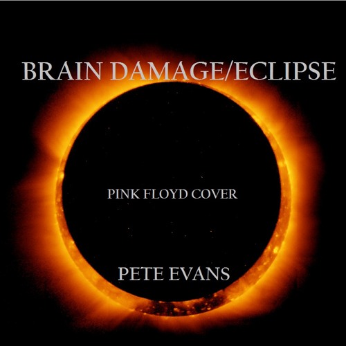 Stream Brain Damage - Eclipse - Pink Floyd cover by Peter Evans 11 ...