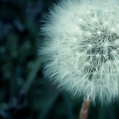 Ahmed Saeed Al-Omrany | Adhan (Call To Prayer) | Fajr | أحمد سعيد العمراني