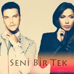 Sinan Akçıl ft. Burcu Güneş - Seni Bir Tek