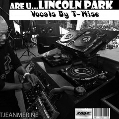 ARE YOU LINCOLN PARK - VOCAL BY T - WISE - REMIX BY DJ PUNCH