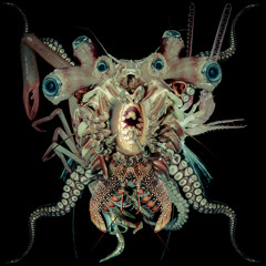 Gore Tech - Heretic (DJ Skull Vomit Remix)(Preview)