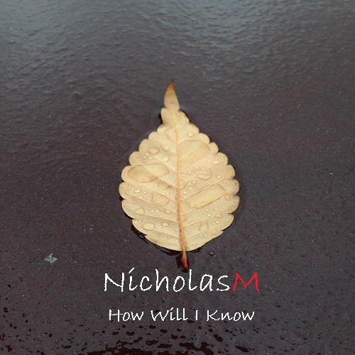 How WIll I Know (Original Mix)