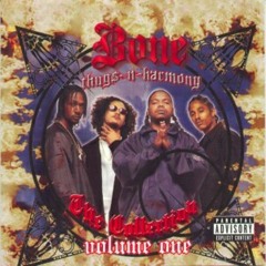 BTnH-NOTORIOUS THUGS - SHADE 45