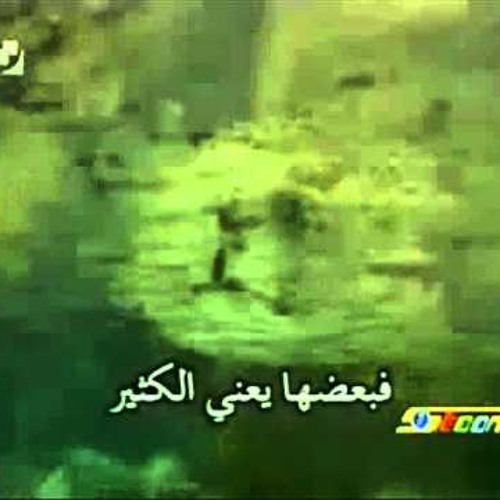 SPACETOON - أسرار الحيوانات - لا عيب في ضآلة الحجم