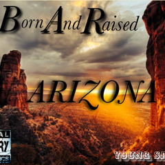 schollboy q what they want (remix)