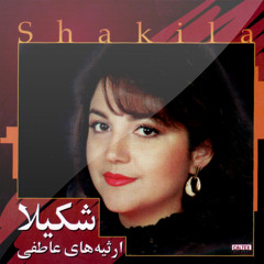 07 Zendeghi