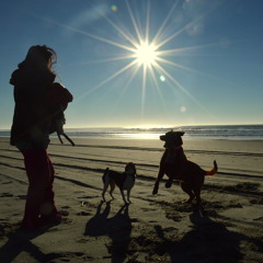 Ambur Rose & Ninja Camp - Hurricanes