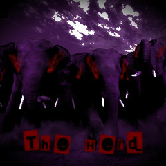 Gabriel Vieira - The Herd (mastered)