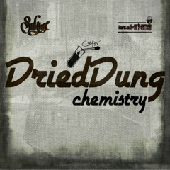 DriedDung Chemistry - Prendo Tempo Rmx