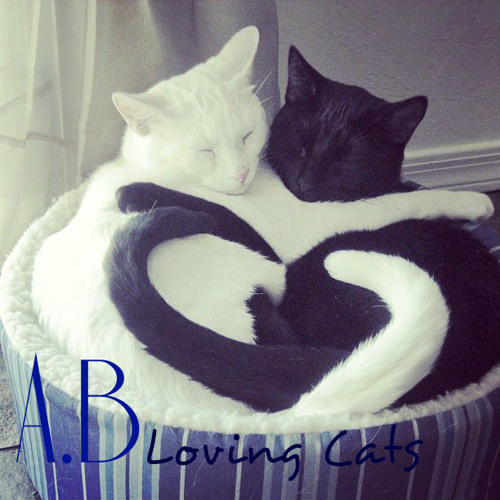 A.B - LOVING CATS (Original Mix)