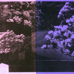 Without Winter (demo)