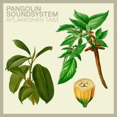 Aplakieshan Taim