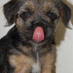 Ian Melvin - Dogs (Willy Real Remix For Boots)