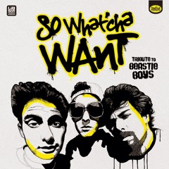 Beasty Boys-So Whatcha Want  (remix DnB by Lars Yesterday )