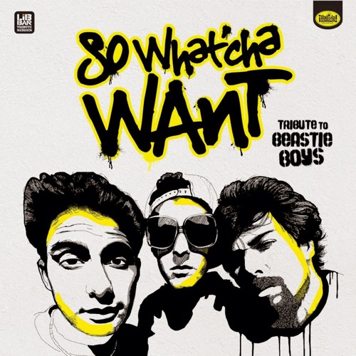 Beasty Boys-So Whatcha Want  (remix DnB by Lars Yesterday )