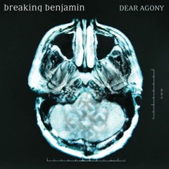 Breaking Benjamin - Dear Agony ( Acoustic Cover )