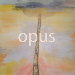 013 opus