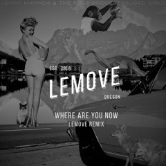 Jenny Mayhem & The Fuzz Orchestrator - Where Are You Now [LeMove Remix]