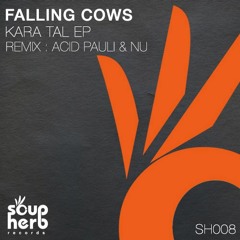 Falling Cows - Ocean Inn (Original Mix) Snippet