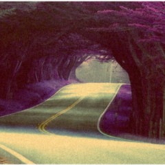 one4theroad