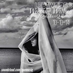 Weeping Willow QueMusiQ Remix