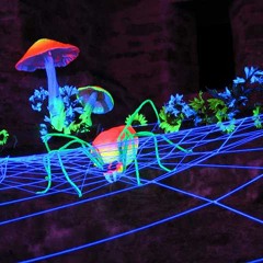 Fantasiereisen mit dunklen klängen