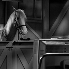 Zamboque - I Can Talk While I Drink A Glass Of Water