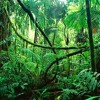 MK, Wankelmut, Emma Louise - My Head Is A Jungle (Spekktrum Remix) (Free Download)