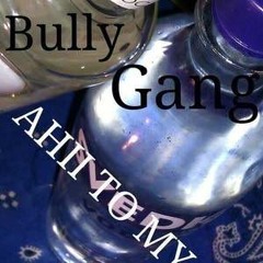DoeAvee Shyt - BullyGang