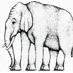 Flo Barthel & Nikolas Nold - ILLUSION (Remix)