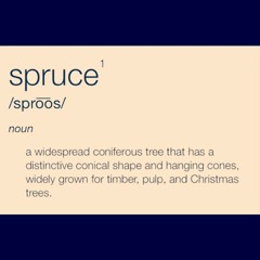 Spruce (Prod. By Cause Sounds)