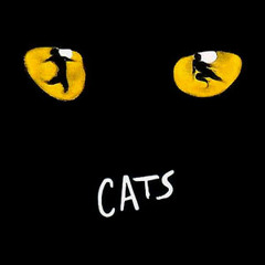 07 The Rum Tum Tugger