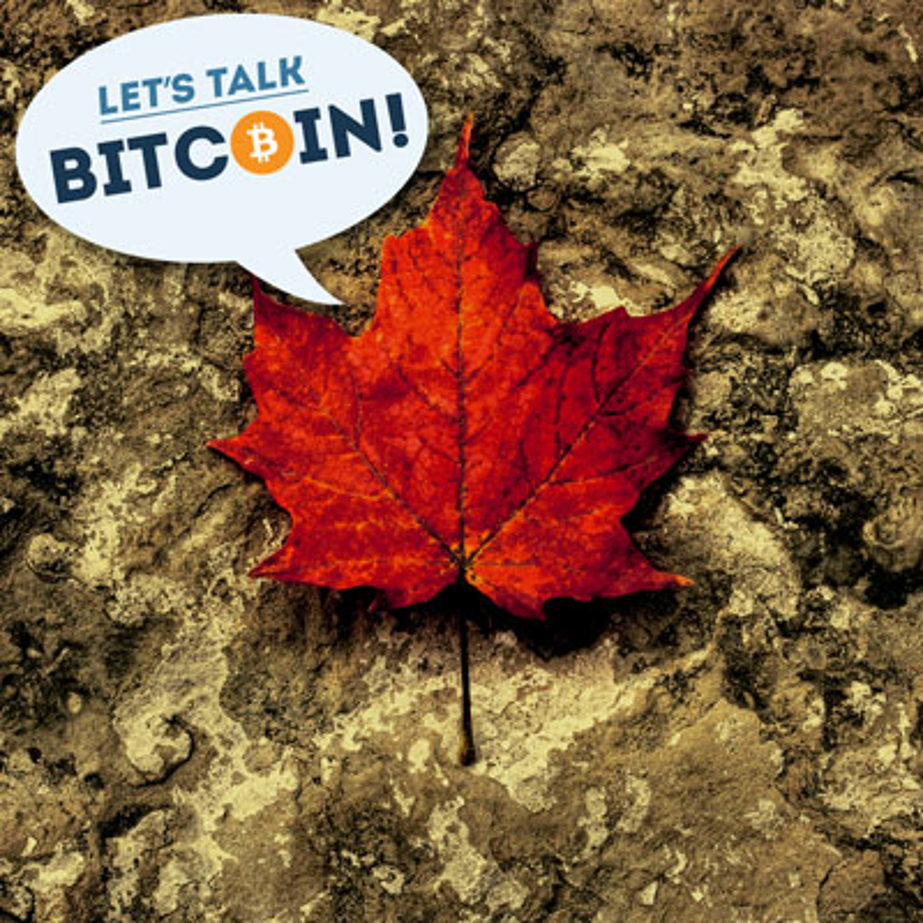 LTB E152 - Towards Innovation and Progress