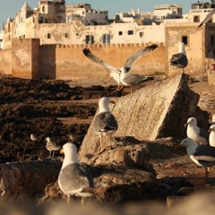 Cheba Maria - r7t 3ndo lil 3'rba