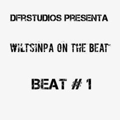 Wiltsin Pa On The Beat - Beat #1