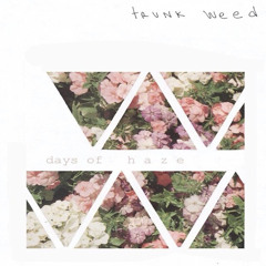 TrunkWeed ~ Days Of Haze